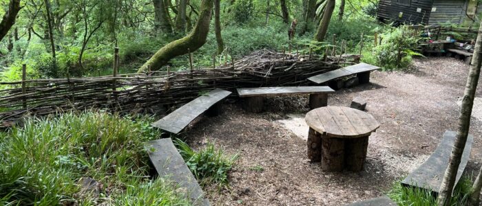 looking-over-table-and-benches
